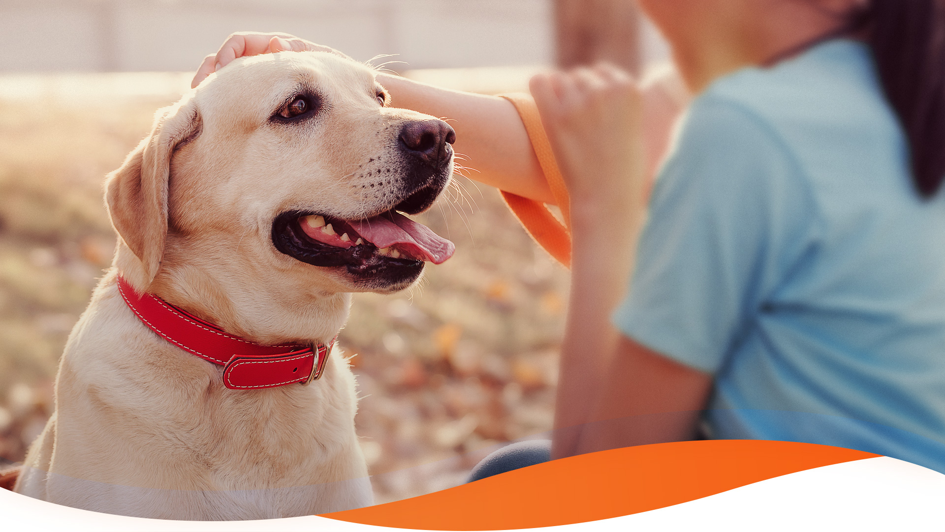 媄吉宠宠物医院 - Banner 2